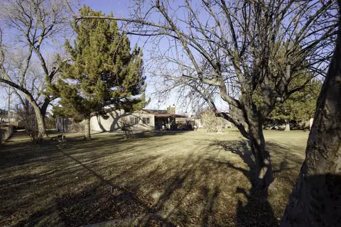 736 W Ottley Ave, Fruita, CO 81521 photo 34