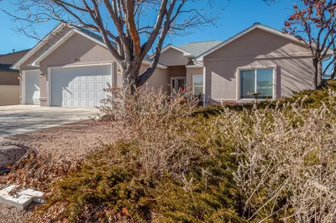 701 Amethyst Dr, Fruita, CO 81521 photo 3