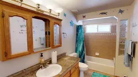 Bath - 307 Elderberry Dr, Fruita, CO 81521 photo 3 of 4
