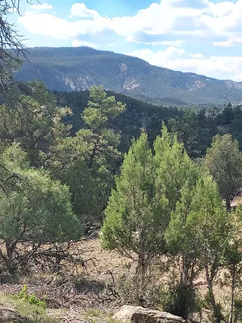 29295 County Road 500, Pagosa Springs, CO 81147