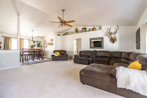 120 Elderberry Dr, Fruita, CO 81521 photo 4