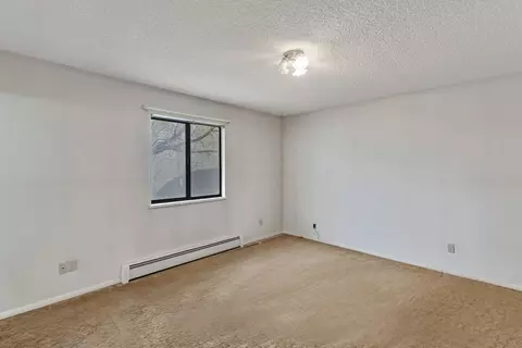 447 N Mesa St, Fruita, CO 81521 photo 11