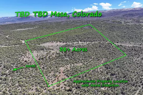 tbd Tbd, Mesa, CO 81643