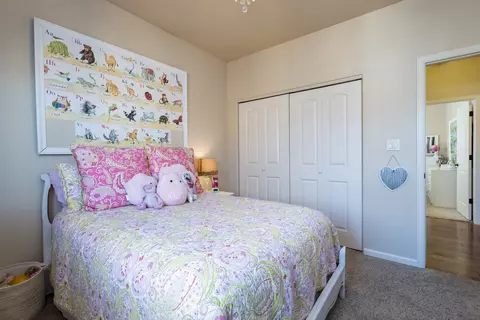 365 Belden Ct, Fruita, CO 81521 photo 24
