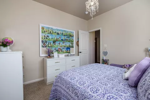 365 Belden Ct, Fruita, CO 81521 photo 29