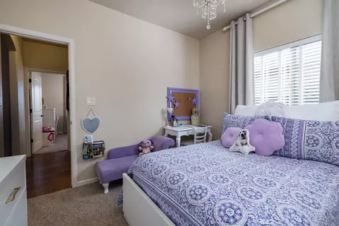 365 Belden Ct, Fruita, CO 81521 photo 28
