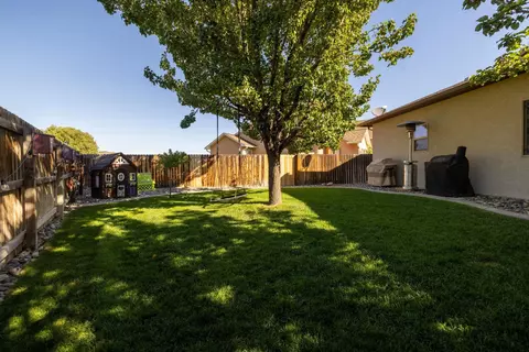 365 Belden Ct, Fruita, CO 81521 photo 5