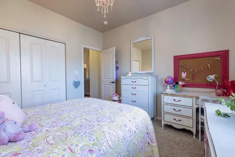 365 Belden Ct, Fruita, CO 81521 photo 25