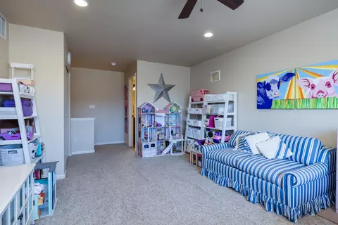 365 Belden Ct, Fruita, CO 81521 photo 30