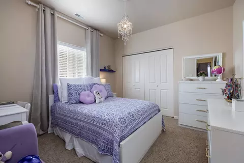 365 Belden Ct, Fruita, CO 81521 photo 27