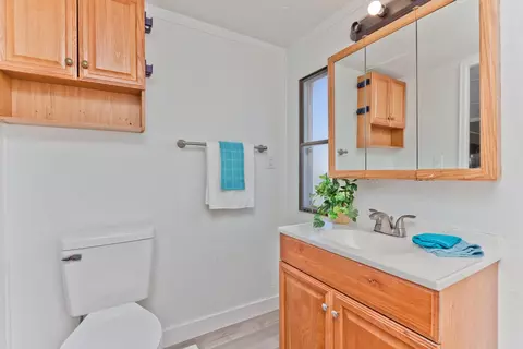 432 Pisces Cir, Fruita, CO 81521 photo 19