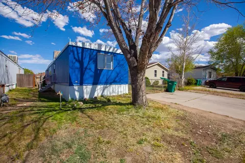 432 Pisces Cir, Fruita, CO 81521 photo 39