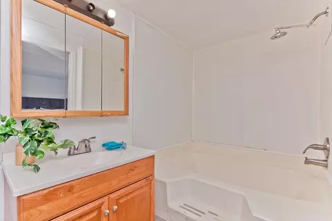 432 Pisces Cir, Fruita, CO 81521 photo 20