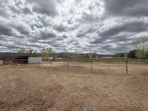 Exterior - 851 21 Rd, Fruita, CO 81521 photo 5 of 10