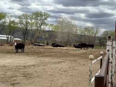 Other - 851 21 Rd, Fruita, CO 81521 photo 2 of 4