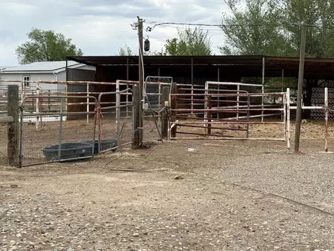 Exterior - 851 21 Rd, Fruita, CO 81521 photo 7 of 10