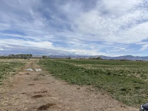 1950 L Rd, Fruita, CO 81521 photo 5