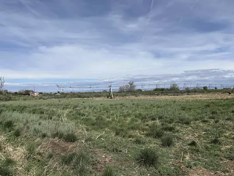 1950 L Rd, Fruita, CO 81521 photo 4