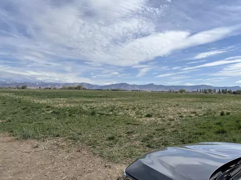 1950 L Rd, Fruita, CO 81521 photo 6