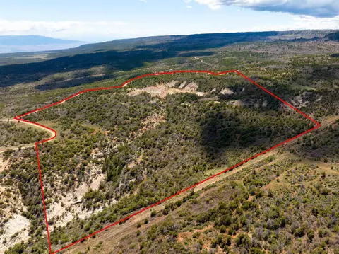 lot S 45 6 Elk Ranch Rd, Glade Park, CO 81523