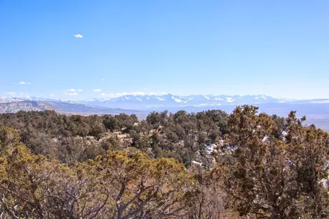 tbd Tract 1 Bostwick Park Rd, Montrose, CO 81401