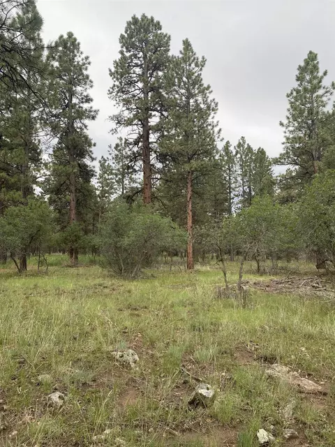 lot430 S Badger Trl #LOT 430, Ridgway, CO 81432