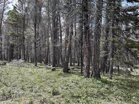 792 Crest Dr, Cimarron, CO 81220
