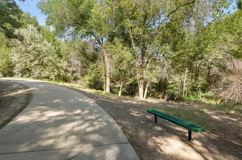 113 Sierra Dr, Fruita, CO 81521 photo 35