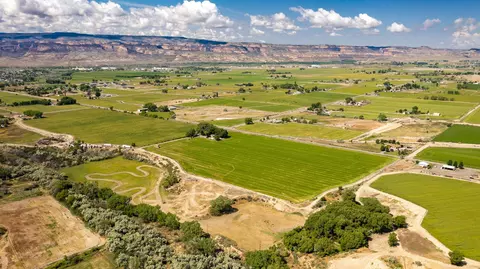 View/Area - 1710 M Rd, Fruita, CO 81521 photo 5 of 9