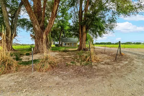 Exterior - 1710 M Rd, Fruita, CO 81521 photo 4 of 10