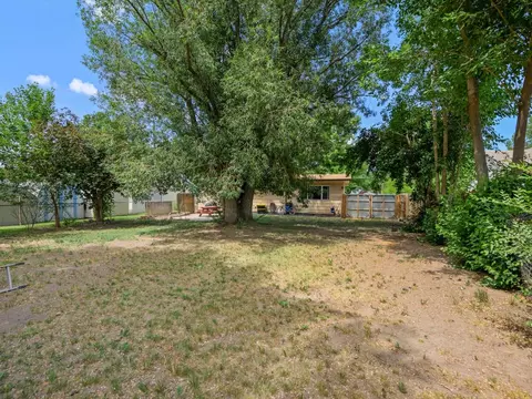 Exterior - 220 S Maple St, Fruita, CO 81521 photo 4 of 11