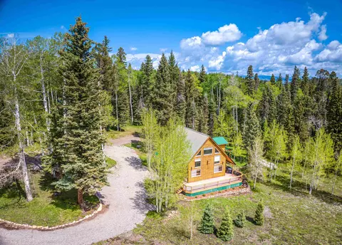 230 Timber Dr, Cimarron, CO 81220 photo 9