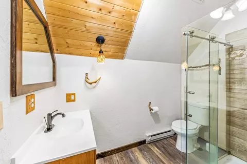 230 Timber Dr, Cimarron, CO 81220 photo 30