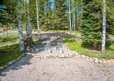 230 Timber Dr, Cimarron, CO 81220 photo 10