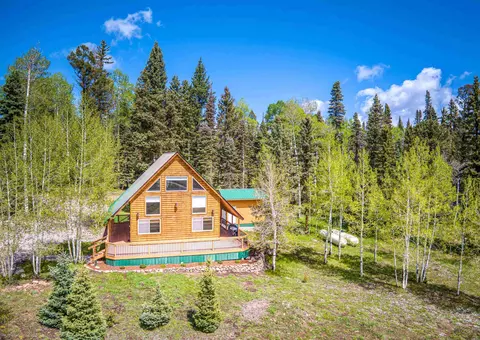 230 Timber Dr, Cimarron, CO 81220