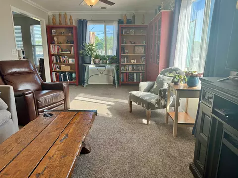 241 Micah Ct, Fruita, CO 81521 photo 12