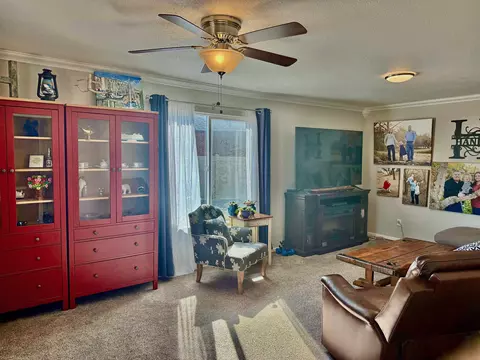 241 Micah Ct, Fruita, CO 81521 photo 13
