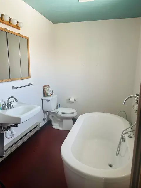 Bath - 49067 Ke Rd, Mesa, CO 81643 photo 3 of 5