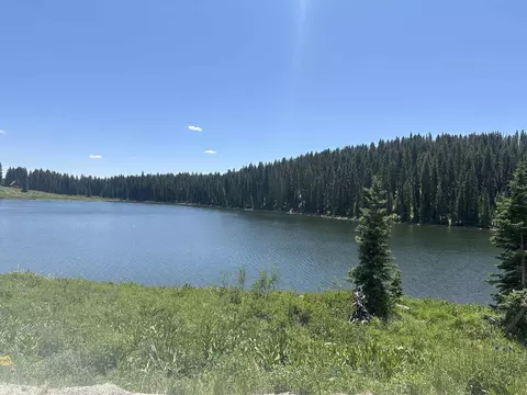 26681 High Dr, Cedaredge, CO 81413 photo 23