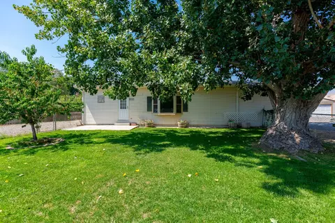 707 36 310 Rd, Palisade, CO 81526
