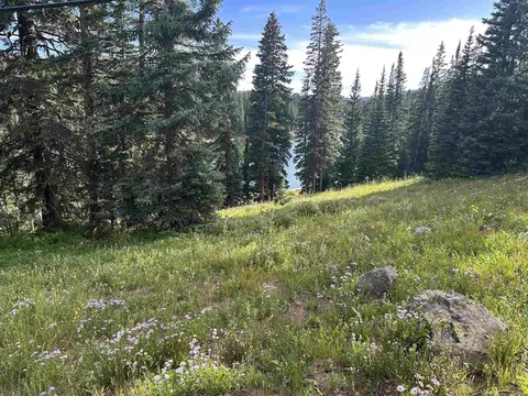 21344 Hilltop Dr, Cedaredge, CO 81413 photo 4