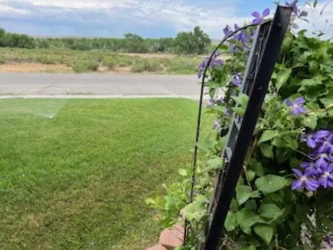 Other - 515 E Rangely Ave, Rangely, CO 81648 photo 14 of 14