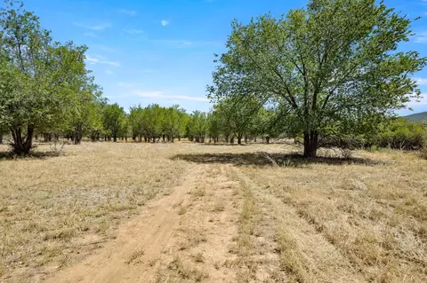 3003 Purdy Mesa Rd, Whitewater, CO 81527 photo 16