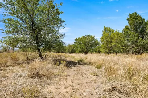 3003 Purdy Mesa Rd, Whitewater, CO 81527 photo 22