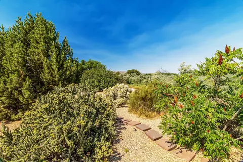 1272 Santa Fe Cir, Fruita, CO 81521 photo 33