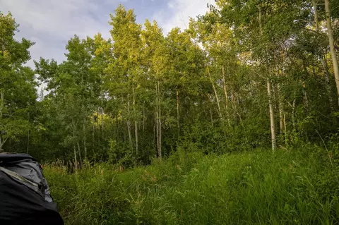 4867 Beaver Pond Ln, Mesa, CO 81643 photo 14