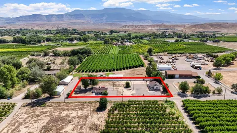 314 33 12 Rd, Palisade, CO 81526