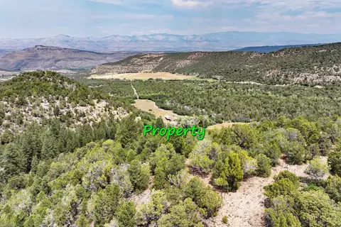 1053 52 12 Rd, Mesa, CO 81643 photo 26