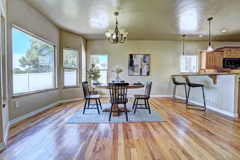 483 Logan Ln, Fruita, CO 81521 photo 9