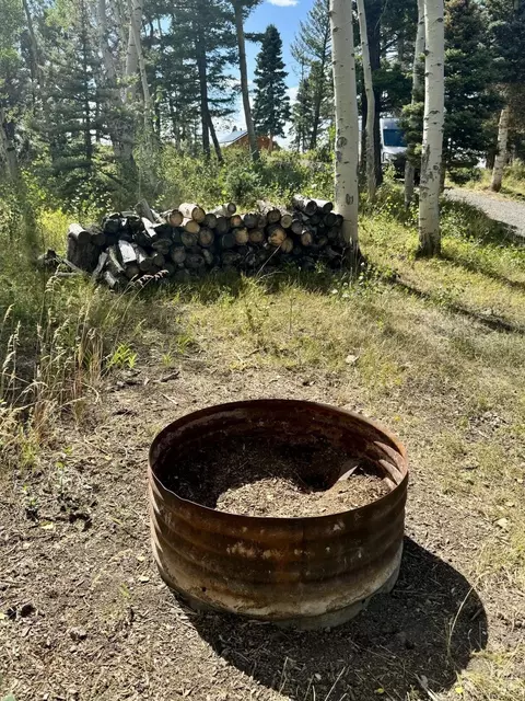 210 Ridge Rd, Cimarron, CO 81220 photo 9